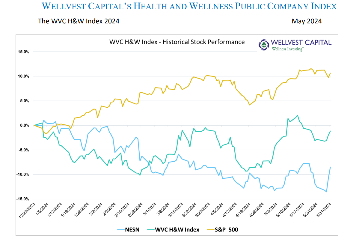 Wellvest May 2024