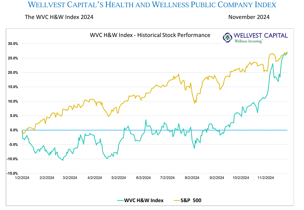 Wellvest Nov 2024